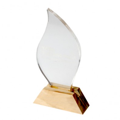 Acrylic & Wood Stand